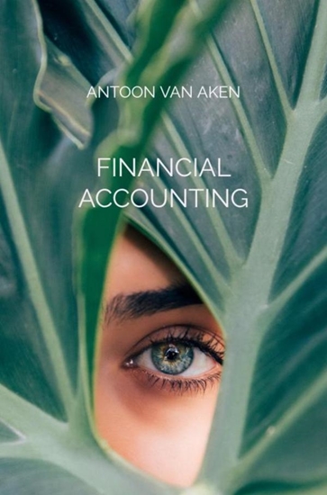 Afbeelding van Financial accounting