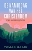 Afbeelding van De namiddag van het christendom