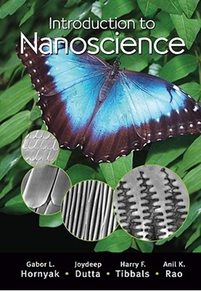 Afbeeldingen van Hornyak, G: Introduction to Nanoscience