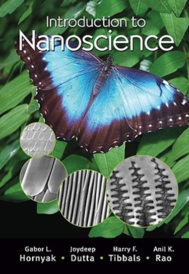 Afbeelding van Hornyak, G: Introduction to Nanoscience