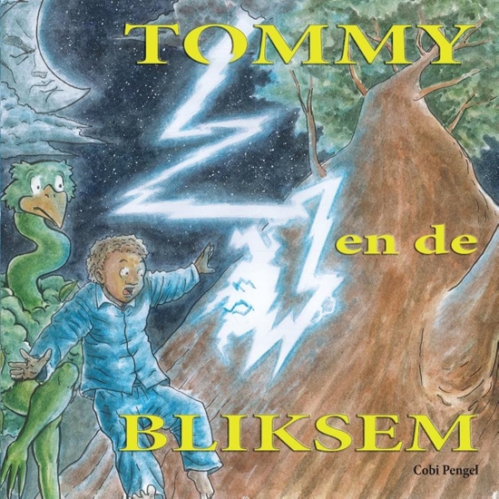 Afbeelding van Tommy en de bliksem