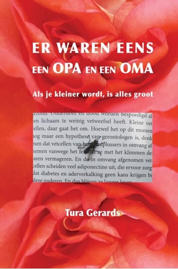 Afbeelding van Er waren eens een opa en een oma