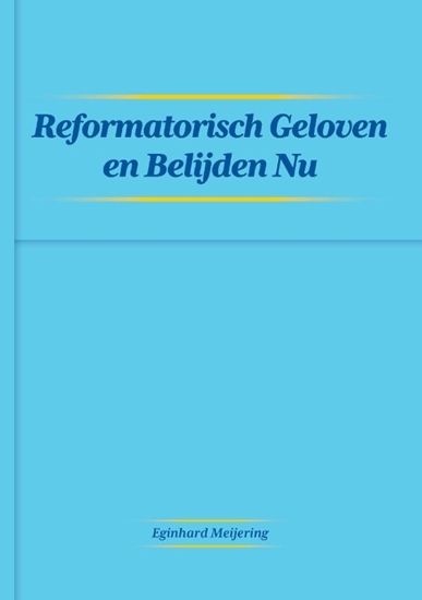 Afbeelding van Reformatisch Geloven en Belijden Nu