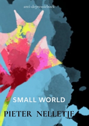 Afbeeldingen van SMALL WORLD