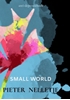 Afbeelding van SMALL WORLD