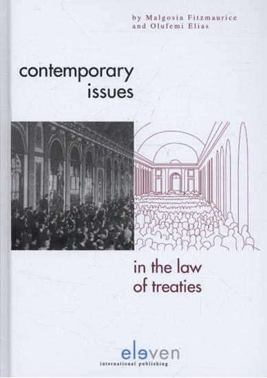 Afbeelding van Contemporary issues of the law of treaties