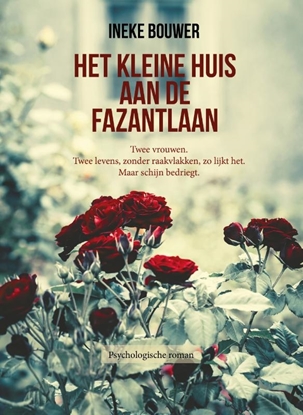 Afbeeldingen van Het kleine huis aan de fazantlaan