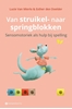 Afbeelding van Van struikel- naar springblokken