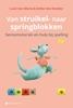 Afbeelding van Van struikel- naar springblokken