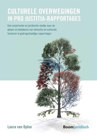 Afbeelding van Culturele overwegingen in pro Justitia-rapportages