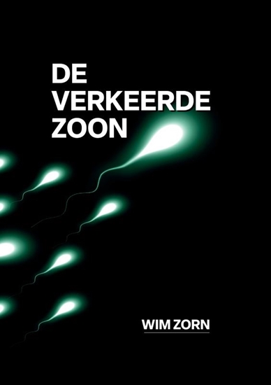 Afbeelding van DE VERKEERDE ZOON