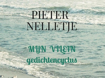 Afbeeldingen van MIJN VILEIN