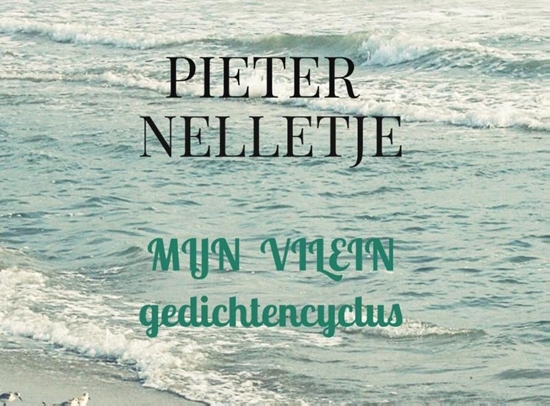 Afbeelding van MIJN VILEIN