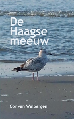 Afbeeldingen van De Haagse meeuw