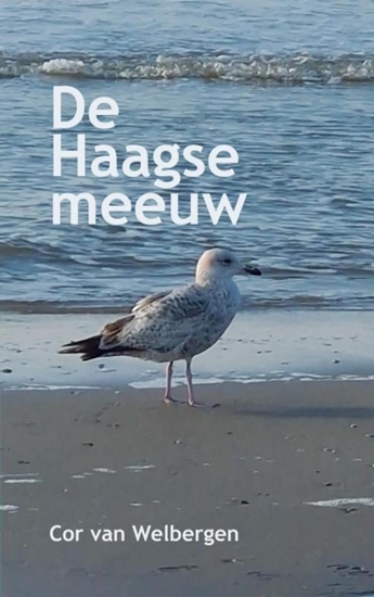 Afbeelding van De Haagse meeuw