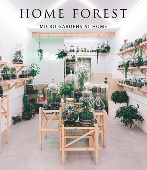 Afbeelding van Home Forest