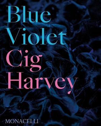 Afbeeldingen van Blue Violet