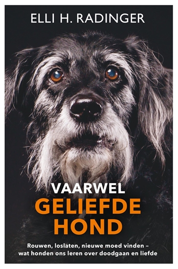 Afbeelding van Vaarwel geliefde hond