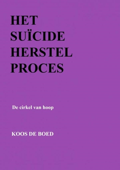 Afbeelding van Het Suïcide Herstel Proces