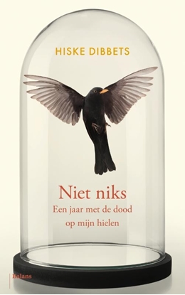 Afbeeldingen van Niet niks