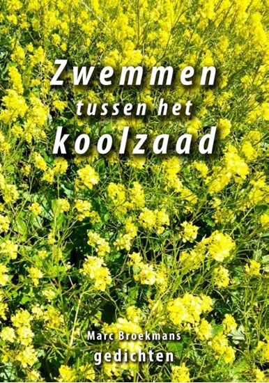 Afbeelding van Zwemmen tussen het koolzaad