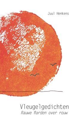 Afbeeldingen van Vleugelgedichten