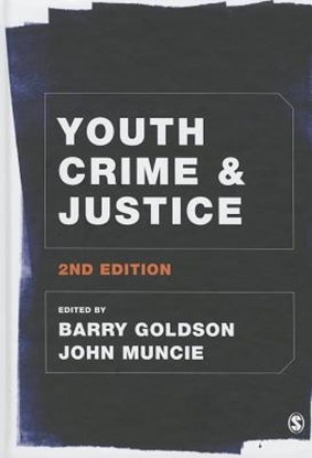 Afbeeldingen van Youth Crime and Justice