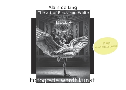Afbeeldingen van The Art of Black and White 4