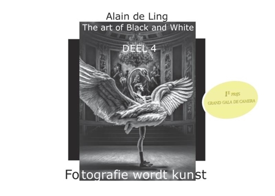 Afbeelding van The Art of Black and White 4