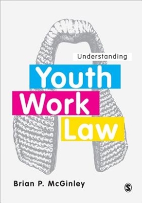 Afbeeldingen van Understanding Youth Work Law