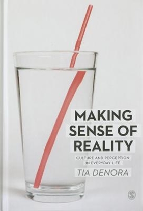 Afbeeldingen van Making Sense of Reality: Culture and Perception in Everyday Life