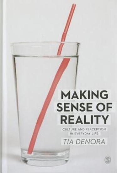 Afbeelding van Making Sense of Reality: Culture and Perception in Everyday Life