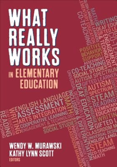 Afbeelding van What Really Works in Elementary Education