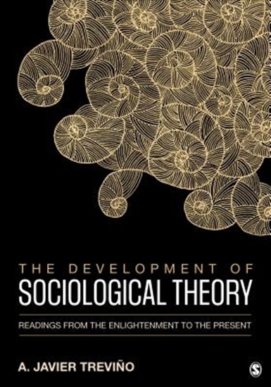 Afbeelding van The Development of Sociological Theory