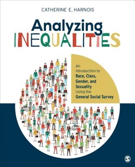 Afbeelding van Analyzing Inequalities: An Introduction to Race, Class, Gender, and Sexuality Using the General Social Survey