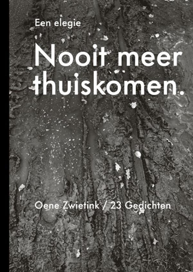 Afbeelding van Nooit meer thuiskomen, een elegie
