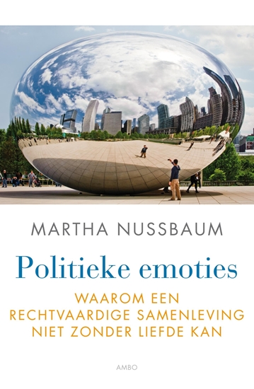 Afbeelding van Politieke emoties