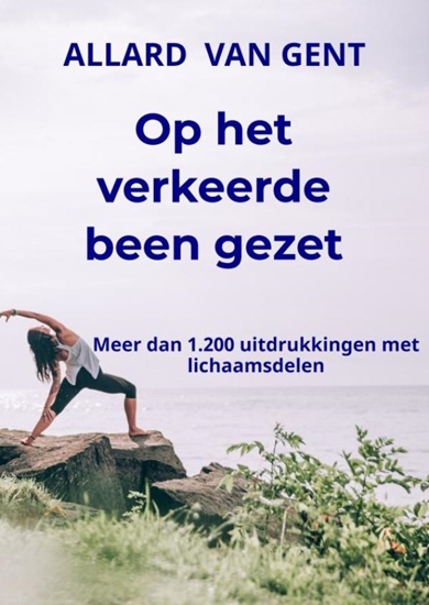Afbeelding van Op het verkeerde been gezet