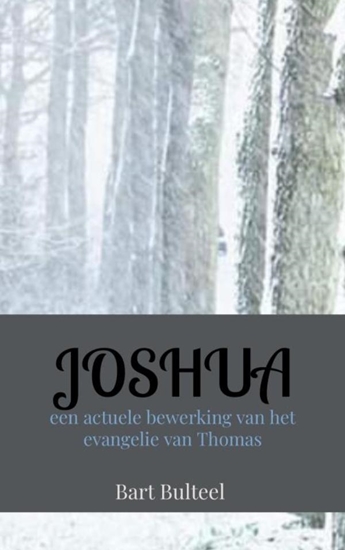 Afbeelding van JOSHUA