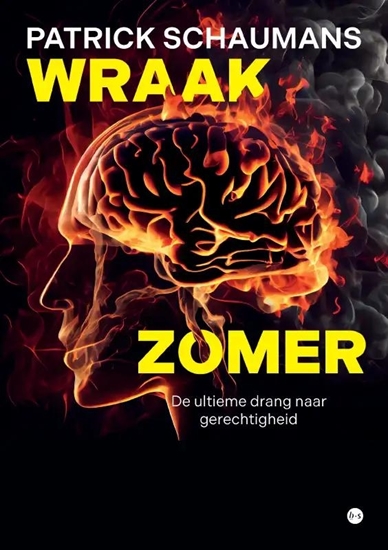 Afbeelding van Wraakzomer