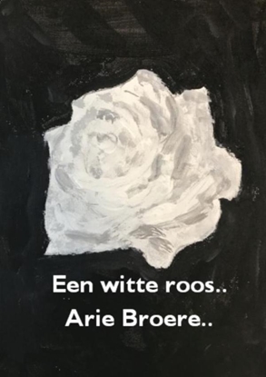 Afbeeldingen van Een witte roos..