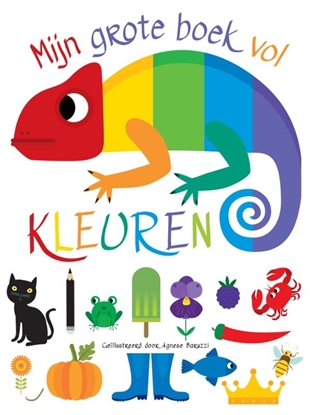 Afbeeldingen van Mijn grote boek vol kleuren