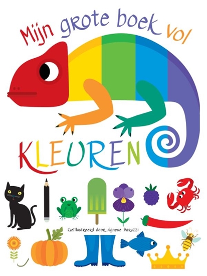 Afbeelding van Mijn grote boek vol kleuren