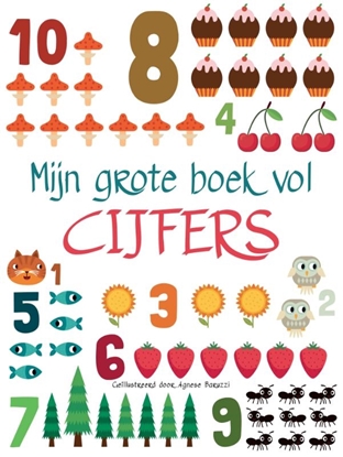 Afbeeldingen van Mijn grote boek vol cijfers