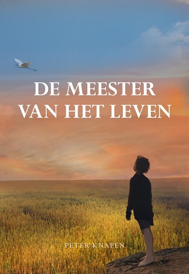 Afbeelding van De meester van het leven
