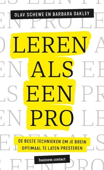 Afbeelding van Leren als een pro