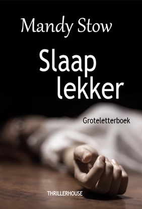 Afbeeldingen van Slaap lekker - Groteletterboek