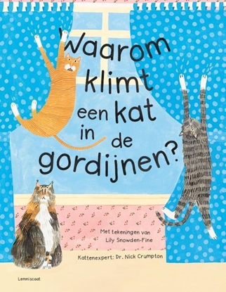 Afbeeldingen van Waarom klimt een kat in de gordijnen?