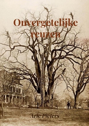 Afbeeldingen van Onvergetelijke reuzen
