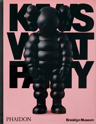 Afbeeldingen van KAWS